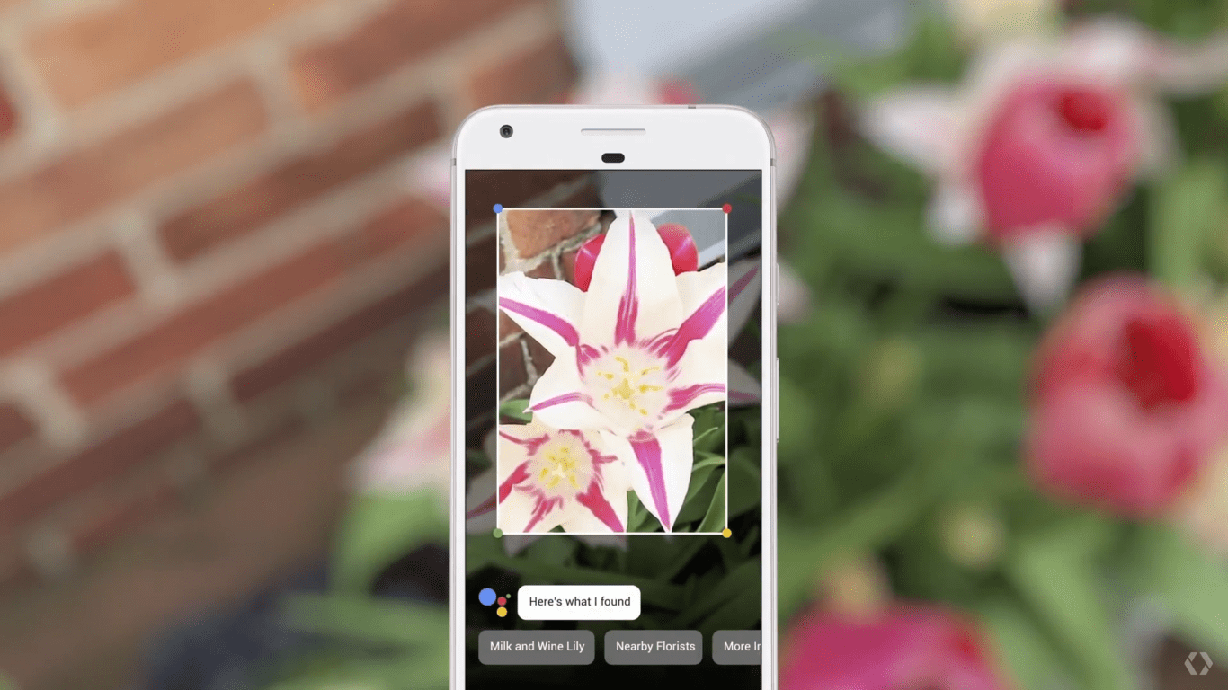 google lens 2 google lens