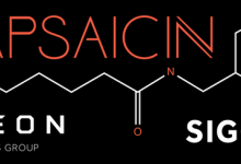 AMD SIGGRAPH Capsaicin