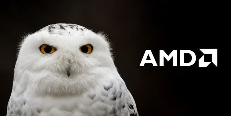amd snowy owl soc