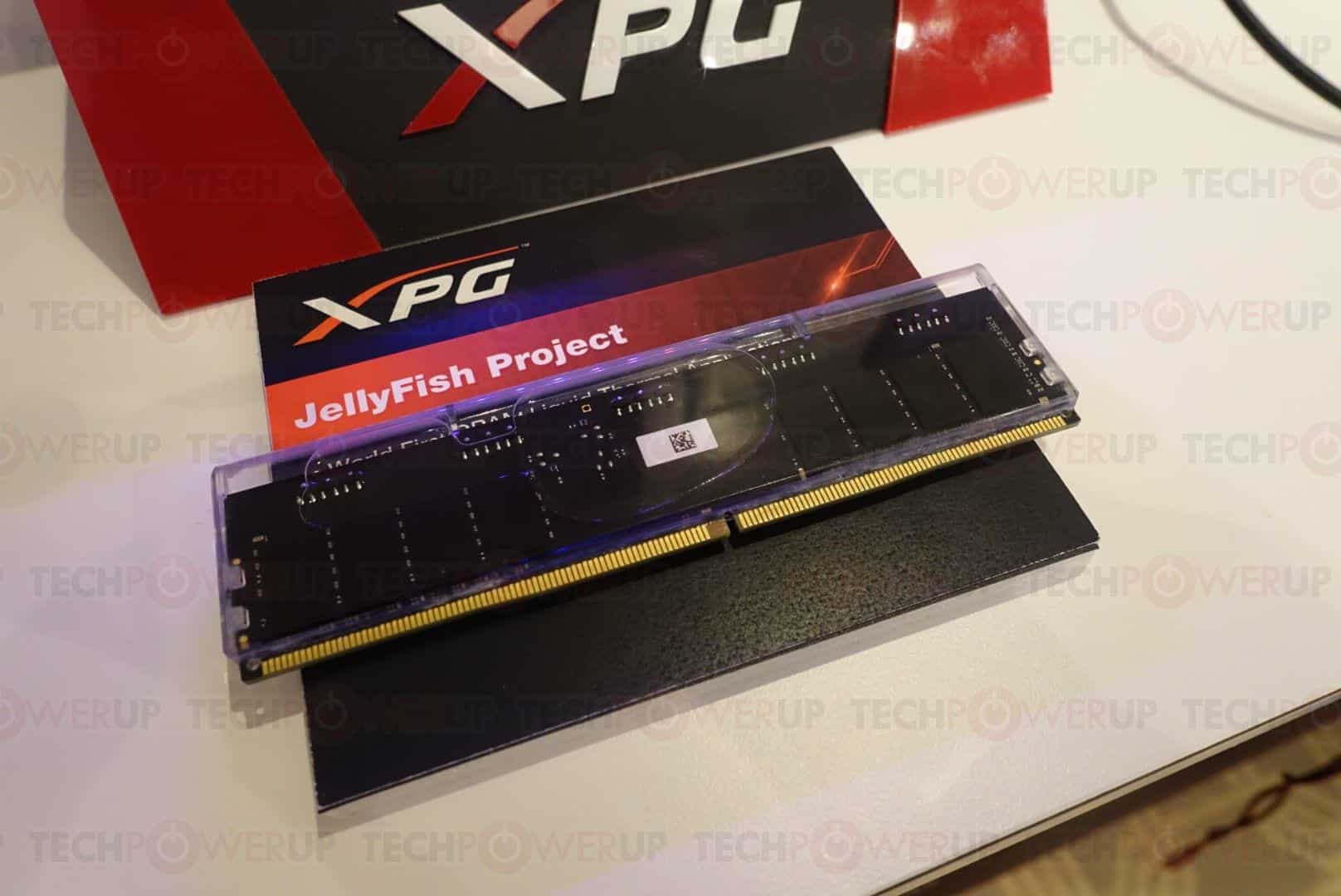 Adata Project Jellyfish