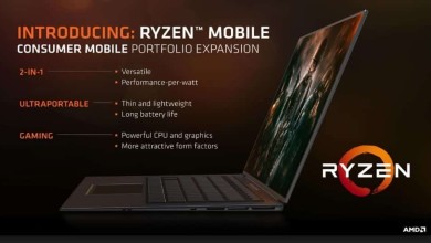 amd ryzen apu d01