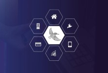 AlcedoPlattform