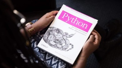 adult coder developer 1181671