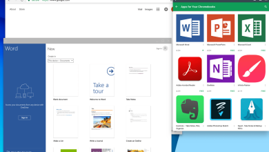google chrome os