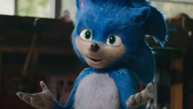 sonic the hedgeon