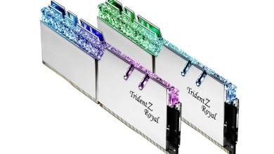 g.skill tridnet z royal ddr4 plata