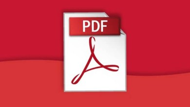 adobe reader pdf