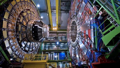 lhc-suiza-nvidia-amd