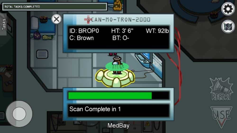 Submit Scan