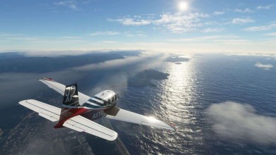 google-maps-Microsoft-Flight-Simulator