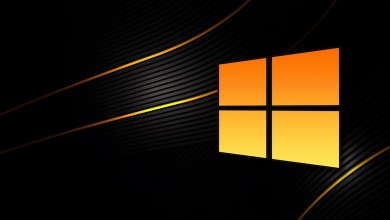 windows-10-WUDownloadCache lento