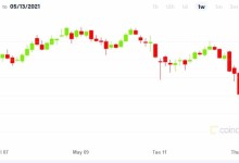 tweet elon musk hace caer valor bitcoin btc
