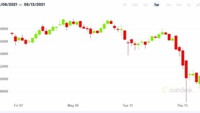 tweet elon musk hace caer valor bitcoin btc
